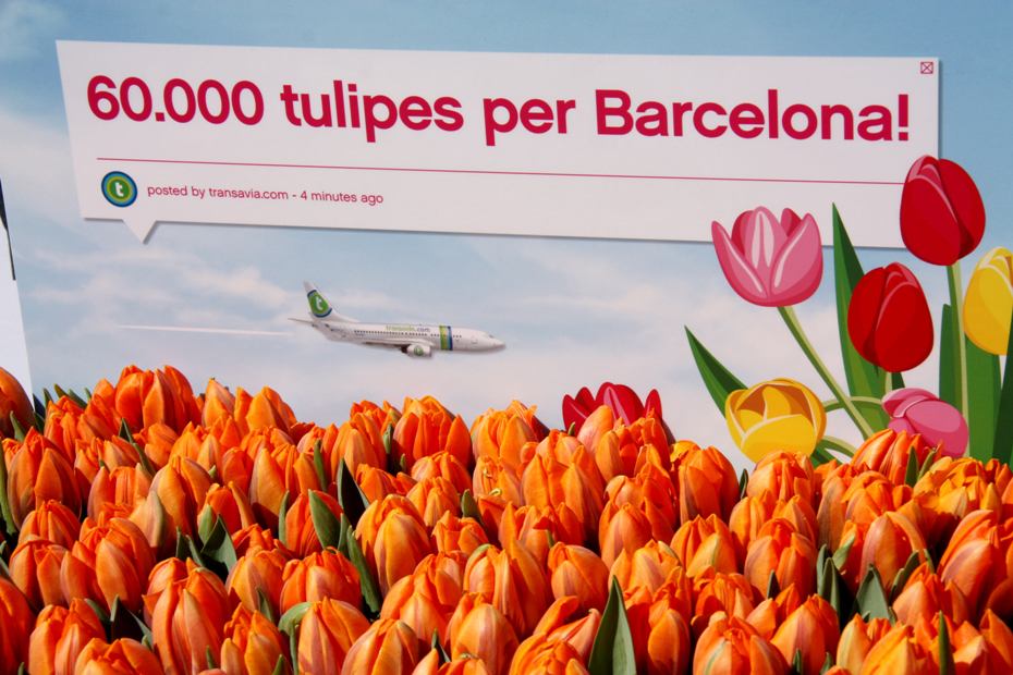 bcn_tulipans.jpg - 110.16 KB