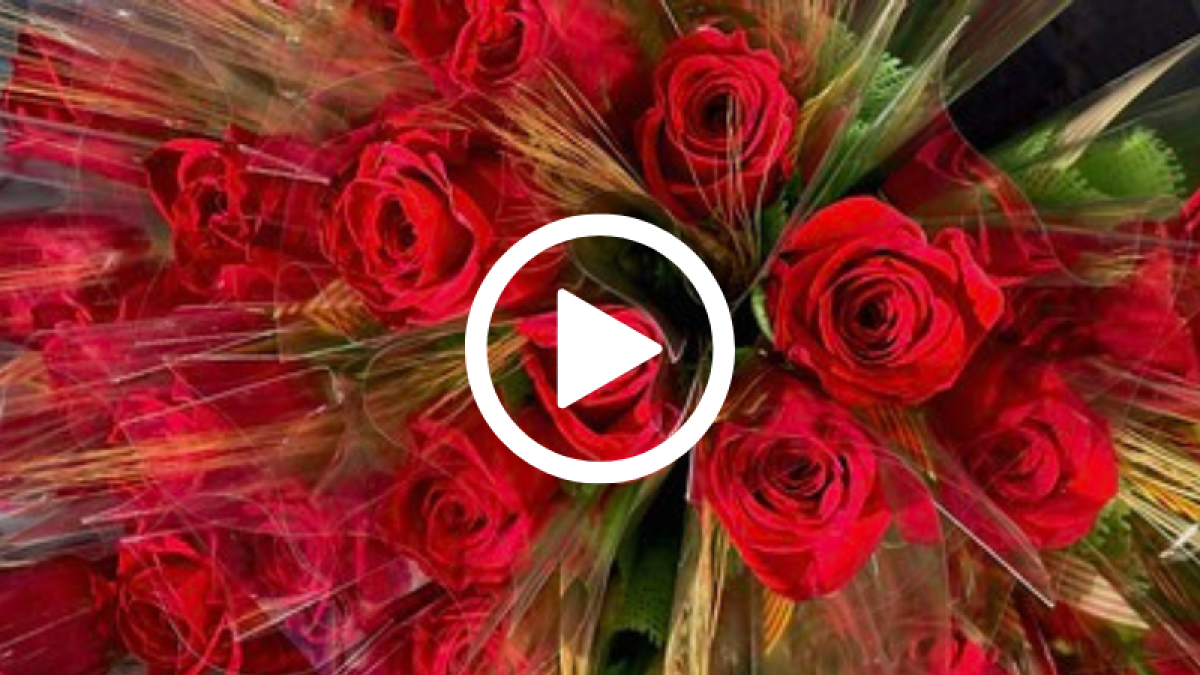 Aquest Sant Jordi redescobreix el poder de les històries a la teva ràdio i televisió local, i a la plataforma La Xarxa+