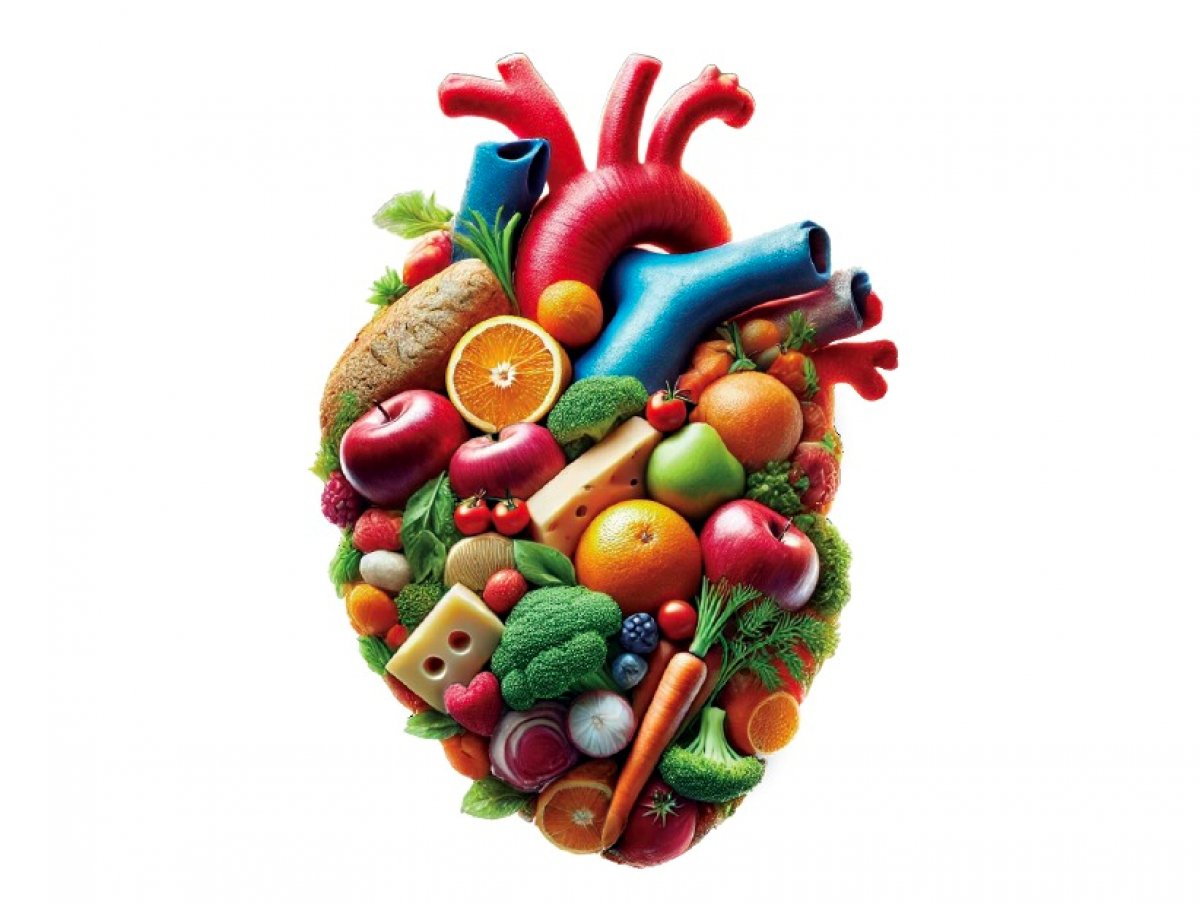 El Centre d’Estudis d’Altafulla commemora el llegat del Dr. Manel Chiva Royo amb una conferència sobre salut cardiovascular i alimentació en l’11è Memorial