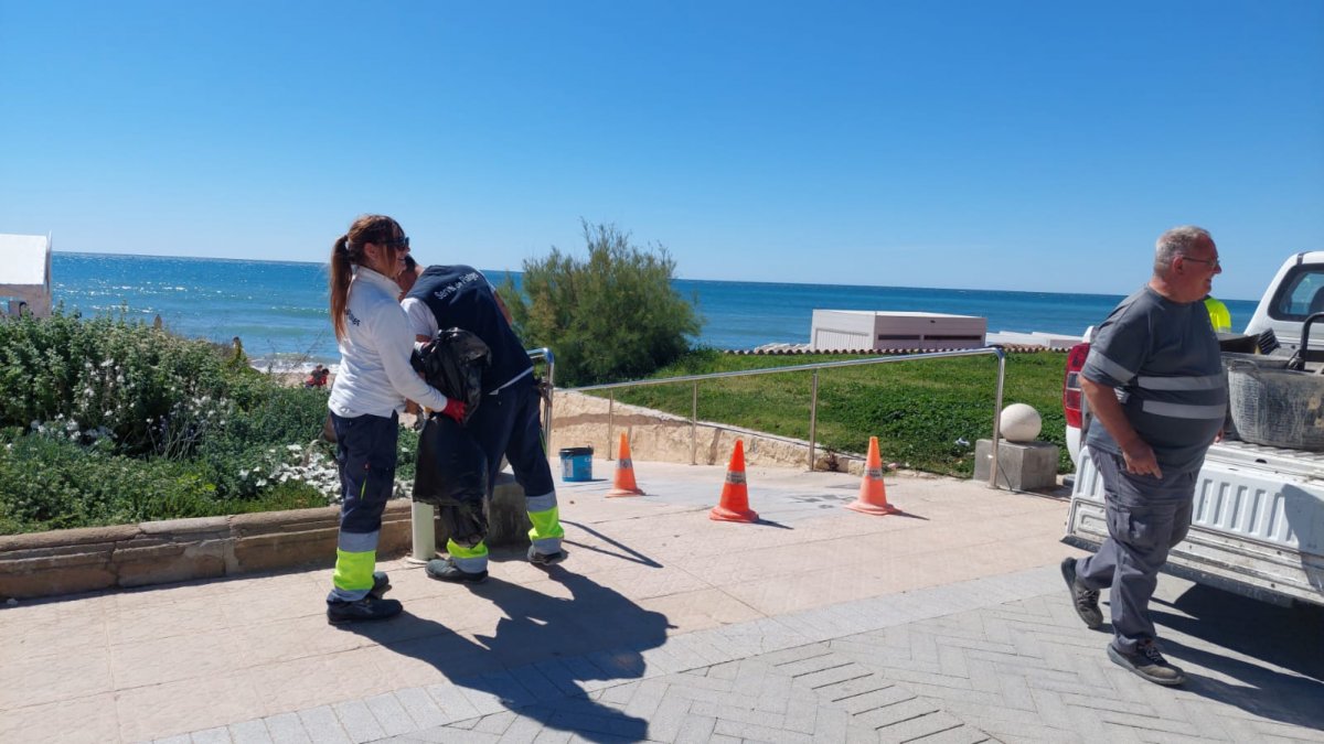 L'Ajuntament de Sitges millorarà l'eina de gestió del manteniment de la via pública