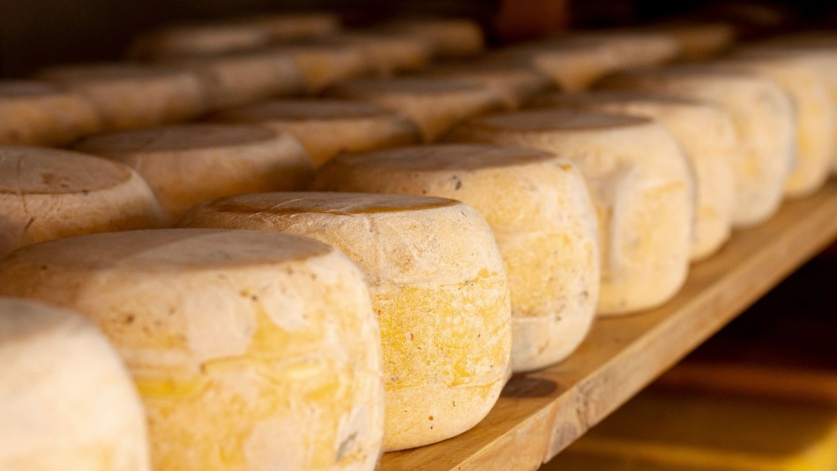 La tòfona, el formatge i la mel protagonitzen una jornada sobre els productes de les Muntanyes de Prades