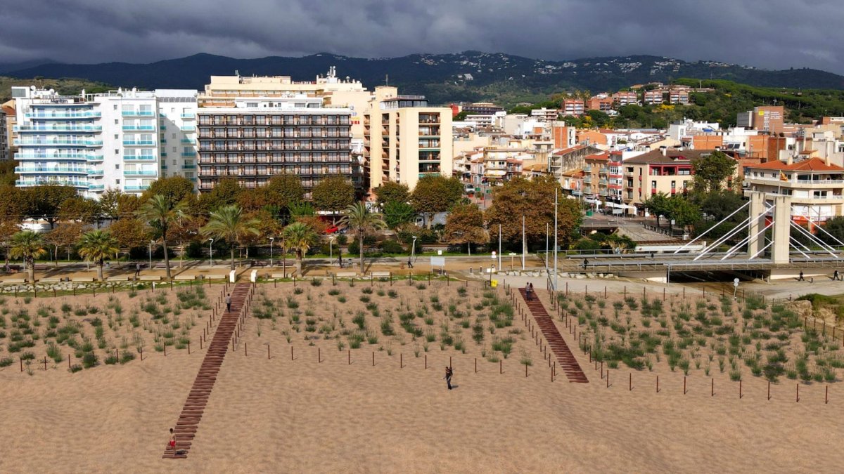 Calella aposta per la naturalització de la Platja de Garbí i la Platja Gran