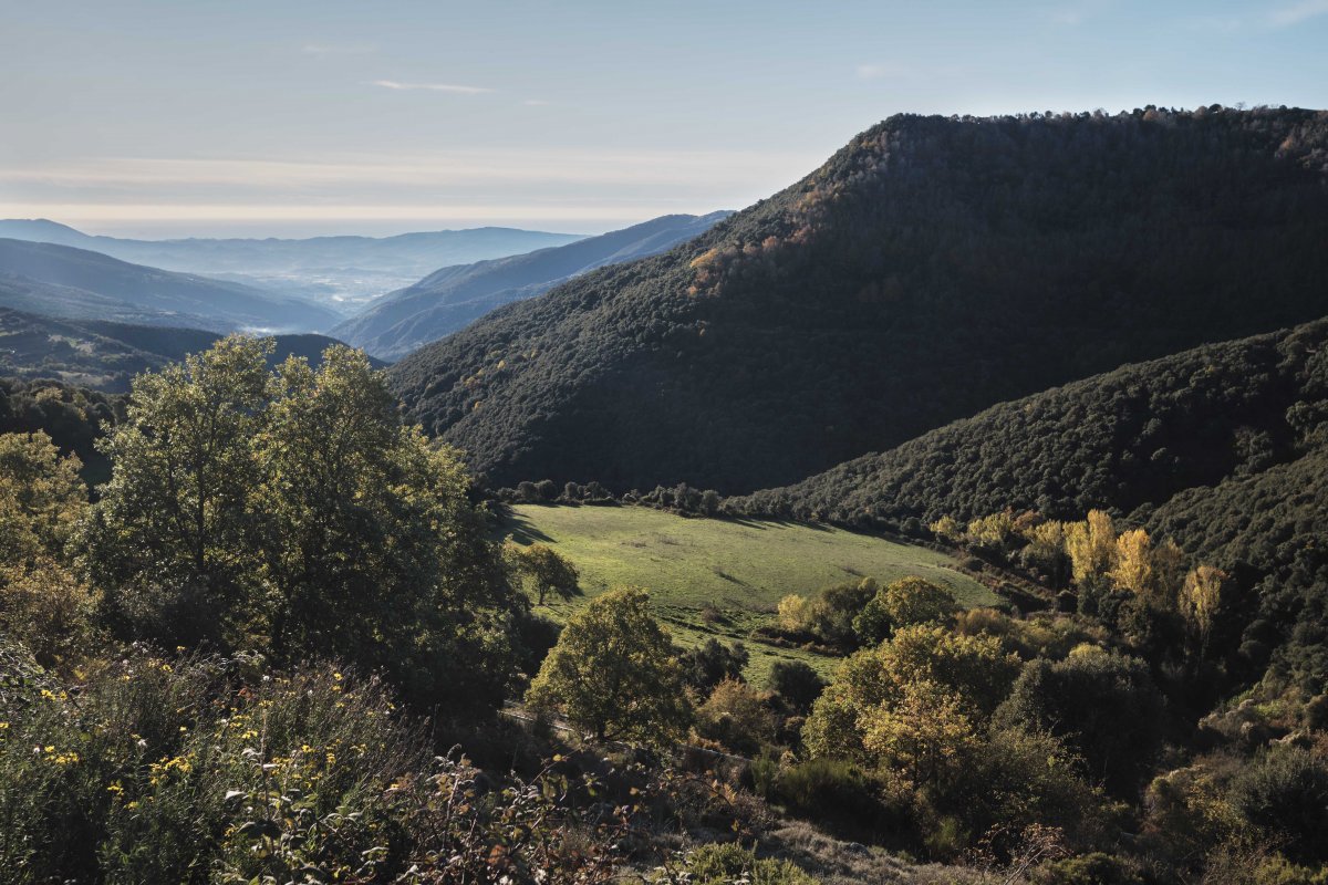 El Parc Natural del Montseny reprèn el procés participatiu per a la redacció del Pla de Protecció del Medi Natural i el Paisatge