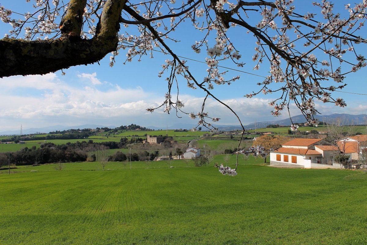 Participa en la redacció del pla estratègic per afavorir l’activitat agrícola, forestal i ramadera a les Franqueses del Vallès