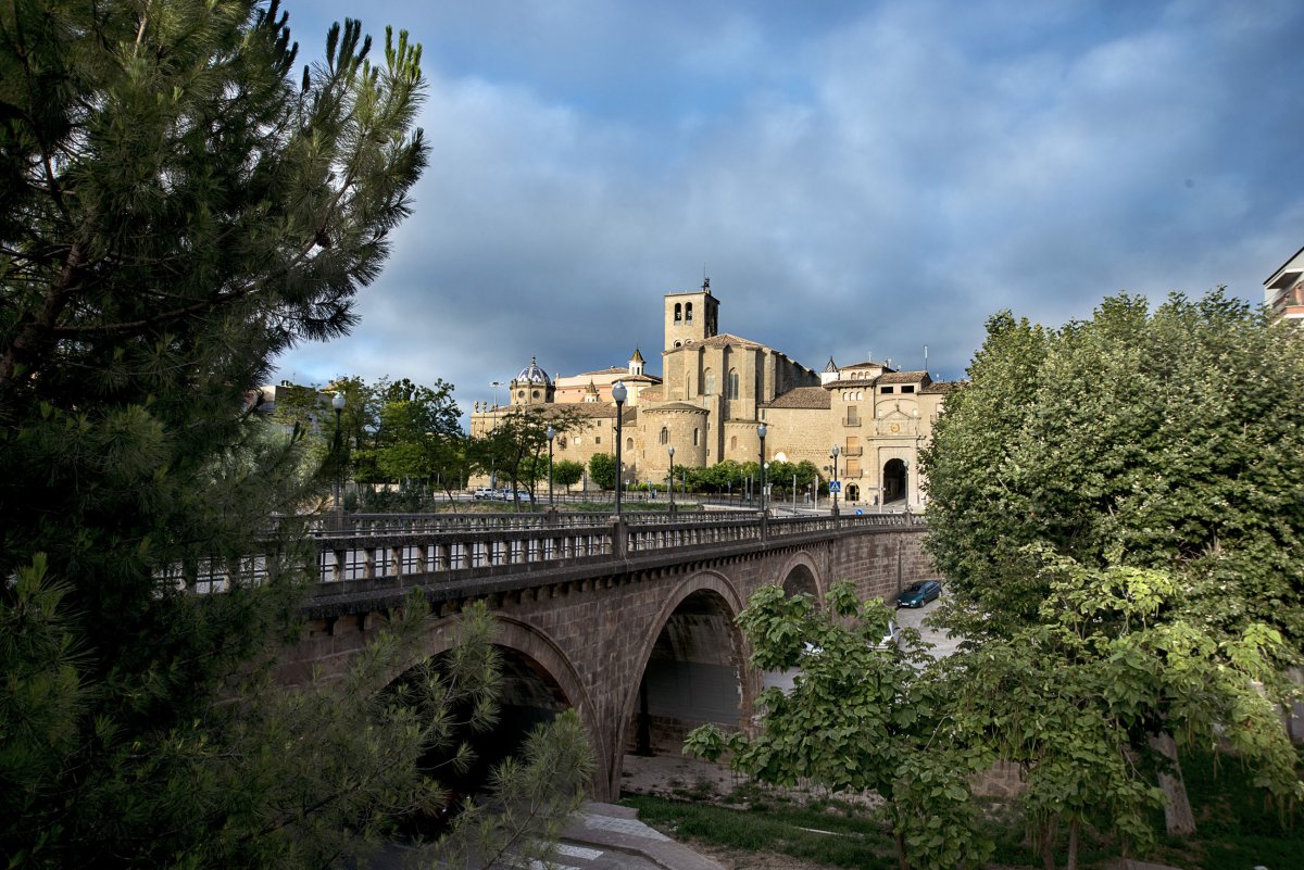 L’Ajuntament de Solsona convoca la ciutadania a una doble xerrada sobre la gestió de l’arbrat urbà