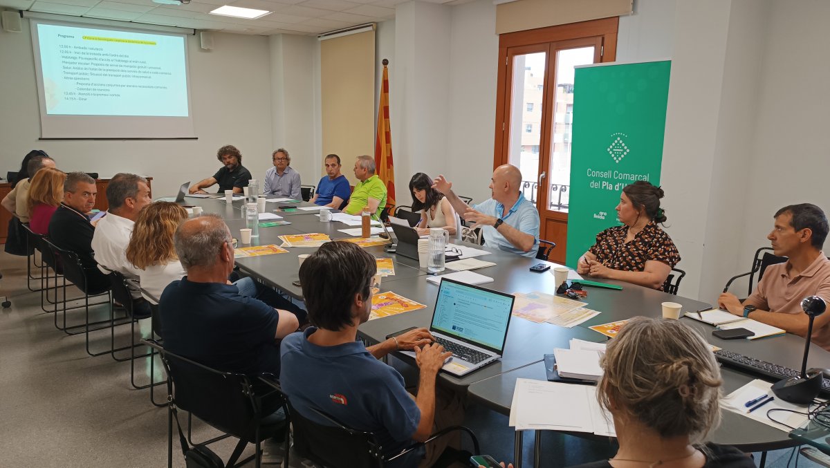 El Consell d'Alcaldies del Pla d'Urgell demana dades sobre l'atenció primària de salut als municipis i dona suport al primer Pla Estratègic de Turisme i Cultura