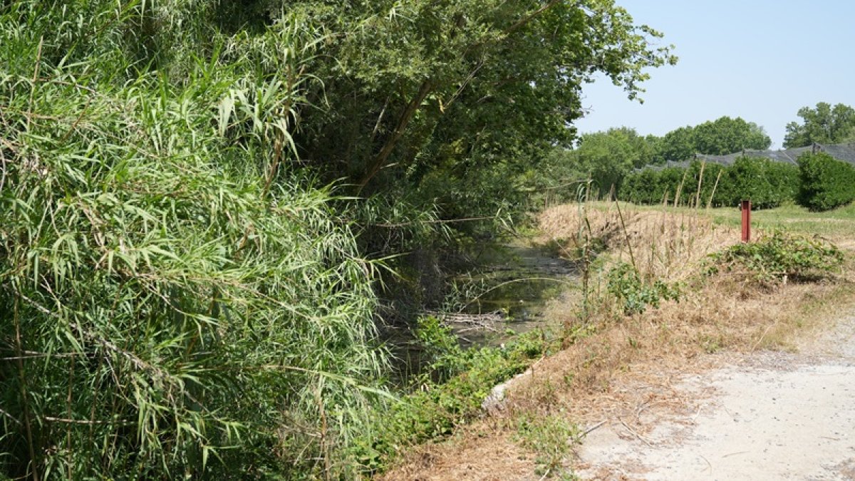 L'Ajuntament de Gualta ha començat a executar les actuacions previstes en el projecte HidroNet Baix Ter amb l'adequació del rec del Molí a la zona urbana