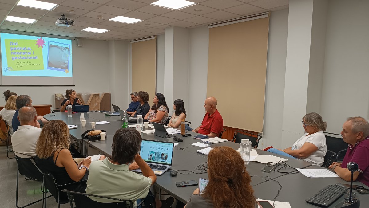 El Consell Comarcal del Pla d'Urgell demana als ajuntaments dades precises per mesurar el dèficit d'atenció primària 