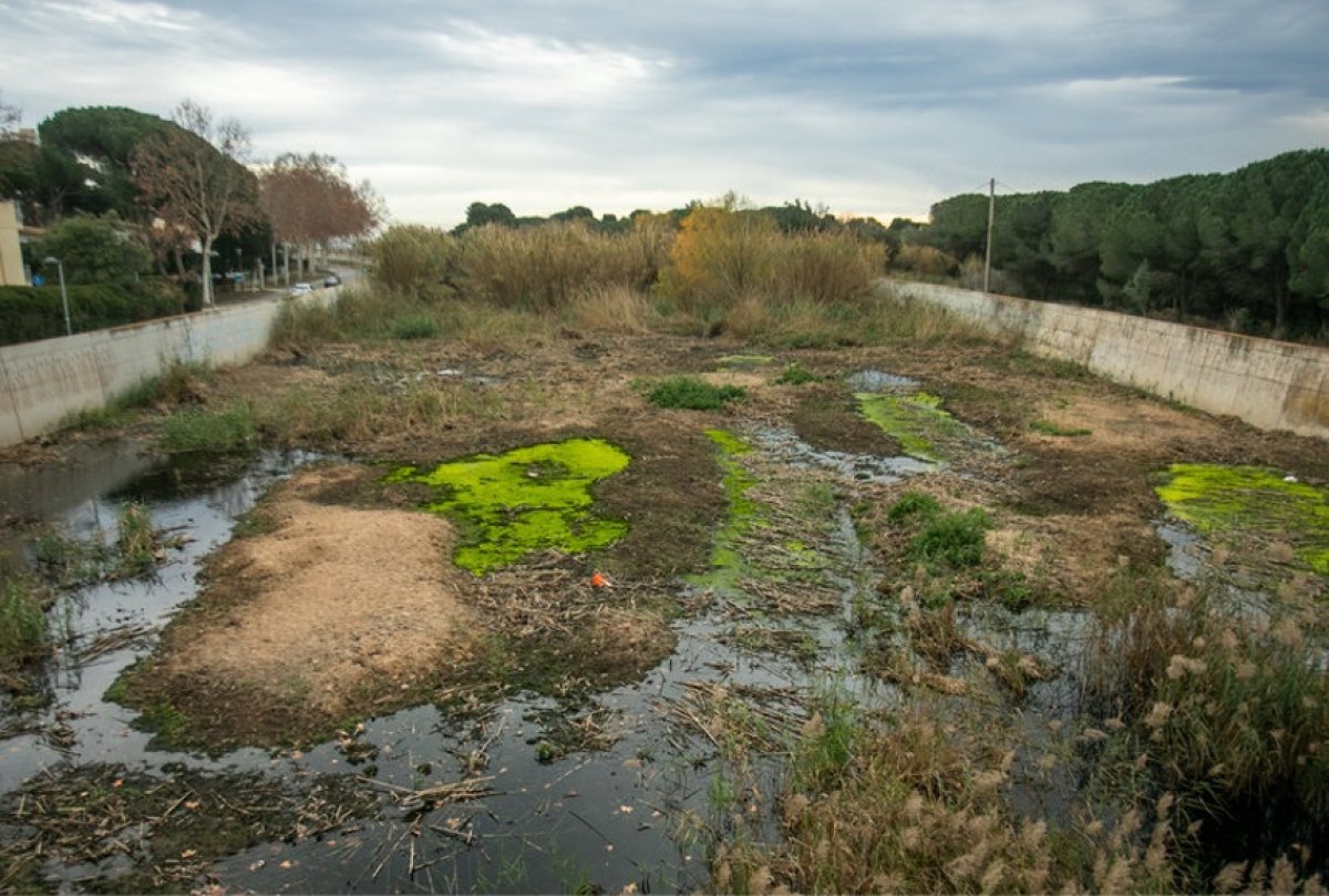 La Diputació de Girona redactarà plans estratègics d'infraestructura verda en els quatre municipis de la conca del Ridaura