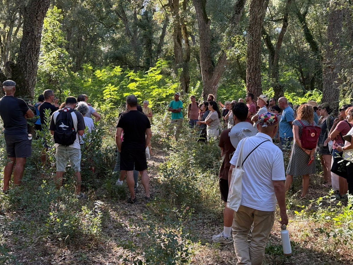 El Festival Art & Gavarres arrenca amb una ruta guiada dels artistes per les instal·lacions artístiques de Land Art