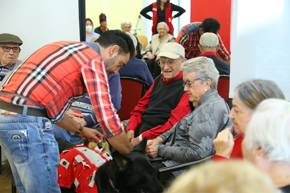 Sant Julià de Lòria celebra la 8ª setmana de la gent gran amb activitats de salut, cultura i convivència