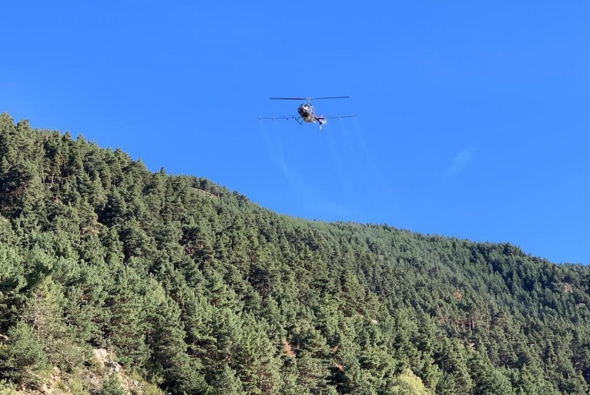 Nova campanya de tractament aeri de control de la processionària del pi