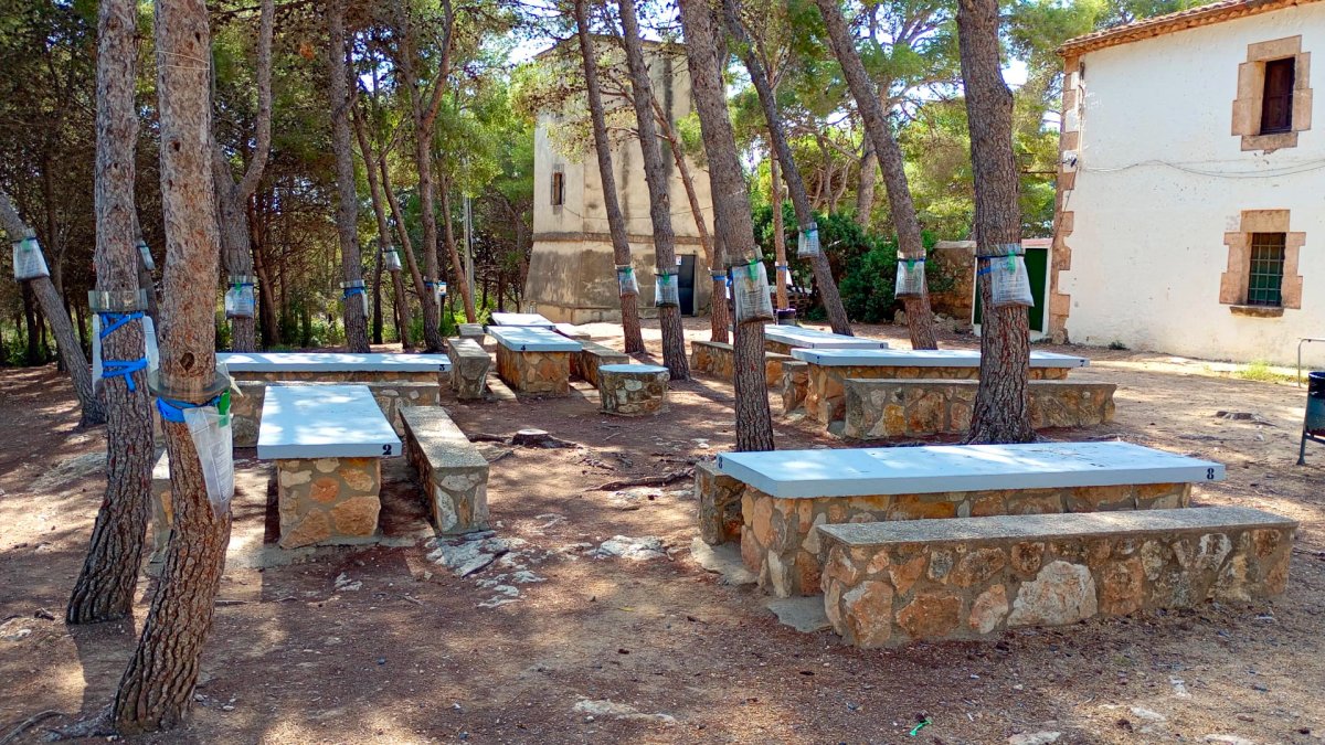 Les barbacoes de l’Ermita de Sant Antoni tornen a estar operatives un cop finalitzat el termini de restriccions