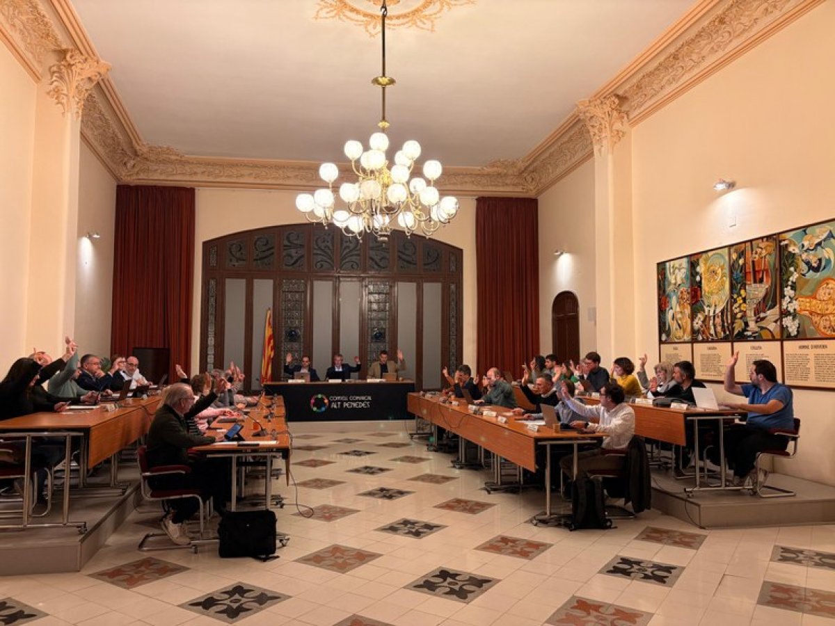El Consell Comarcal aprova una moció per garantir el funcionament de l'Hospital de l'Alt Penedés i fer una atenció sanitària digna