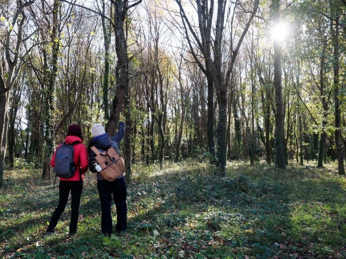 La Diputació destina 70.000 euros en ajuts a entitats gironines per a projectes de conservació del patrimoni natural