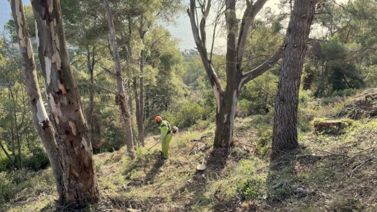 El Consell Comarcal de la Selva completa les franges de protecció i reforça la seguretat dels municipis
