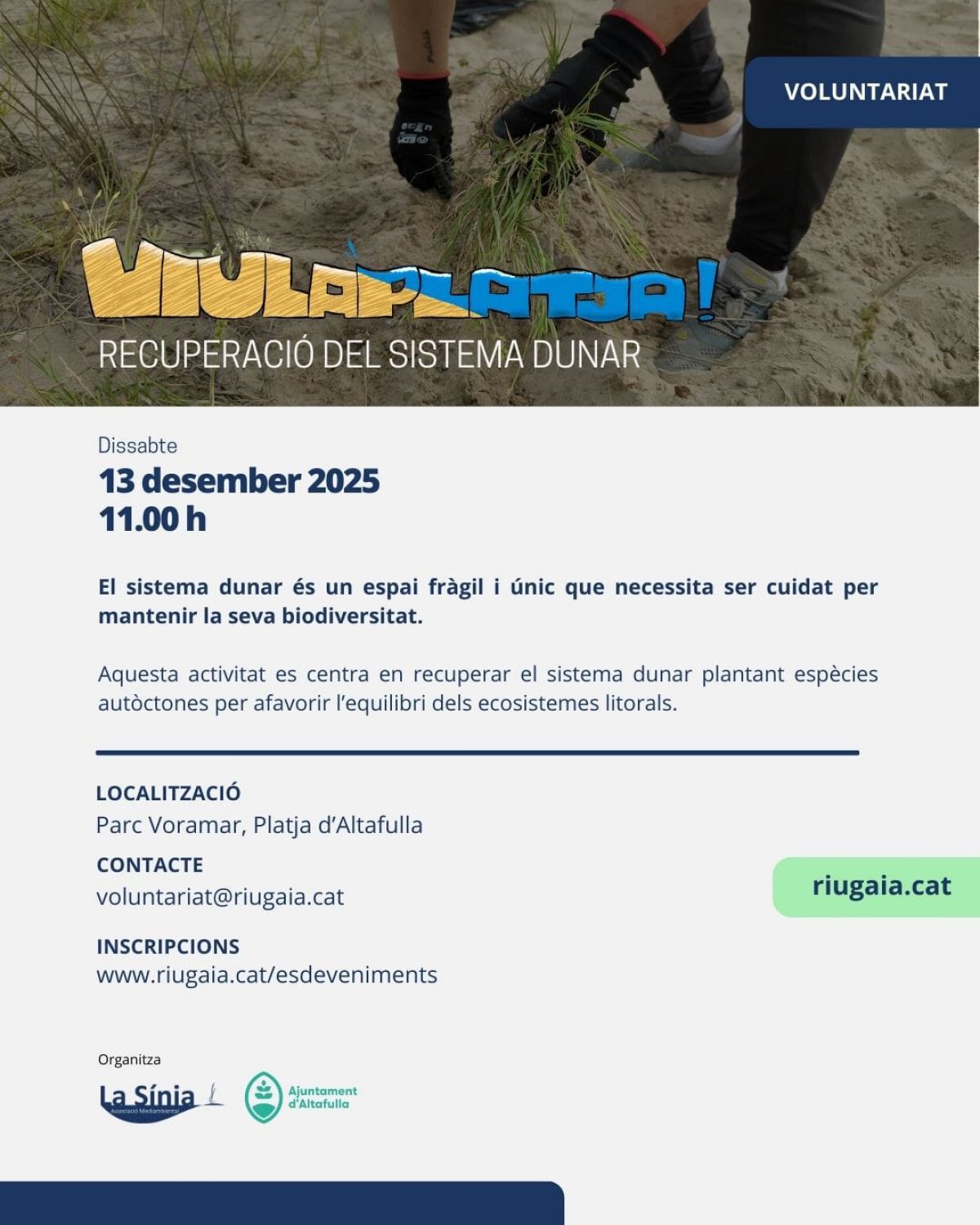 Viu la Platja! Recuperació del sistema dunar al Parc de Voramar -Altafulla