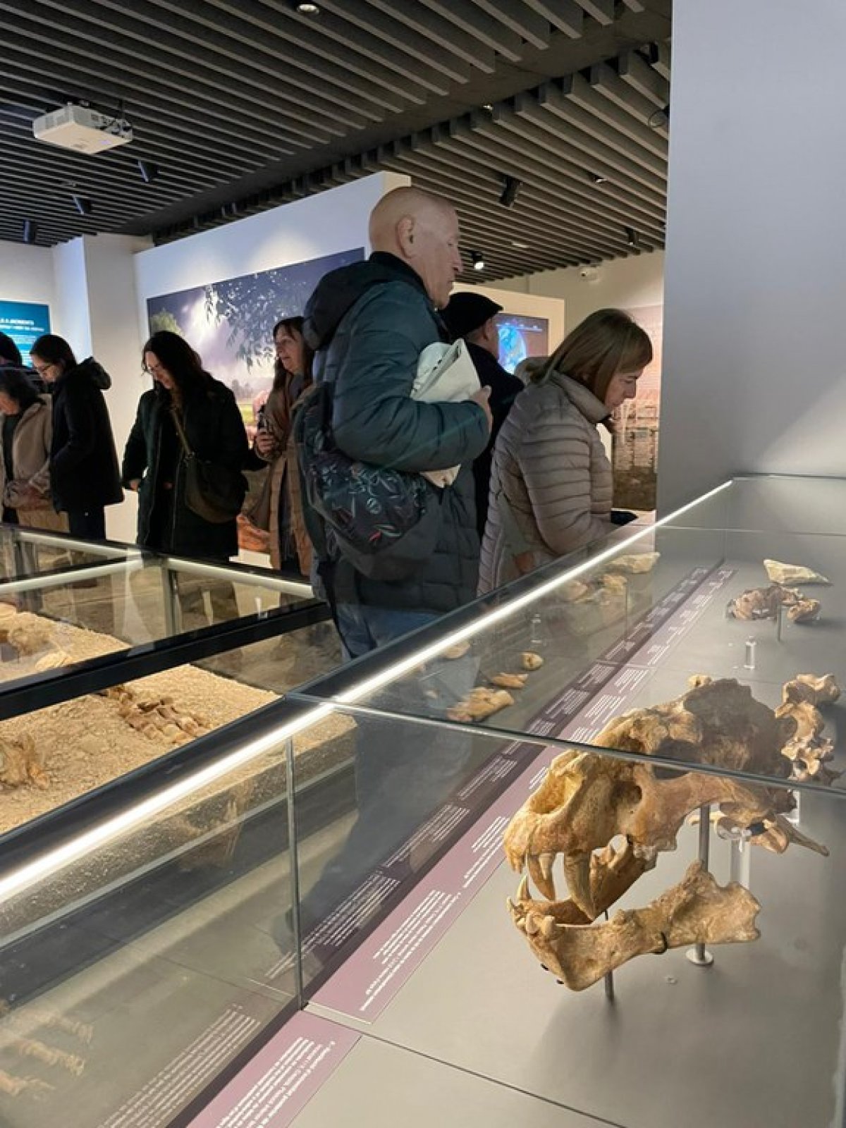Més de 1.000 persones visiten el nou Museu Arqueològic Comarcal de Banyoles
