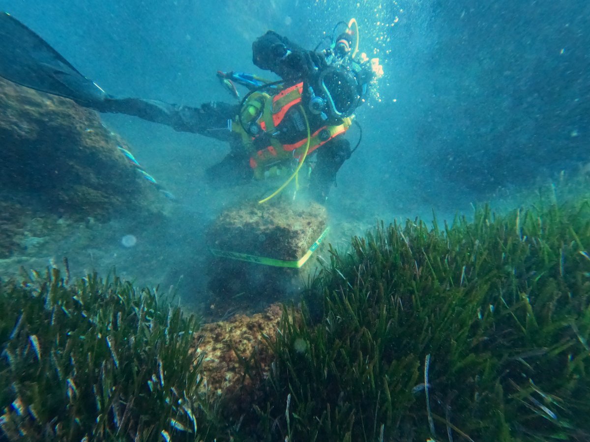 Extreuen més d'11 tones d'elements de fondeig i residus que impactaven la Posidònia a la costa del Massís de Cadiretes
