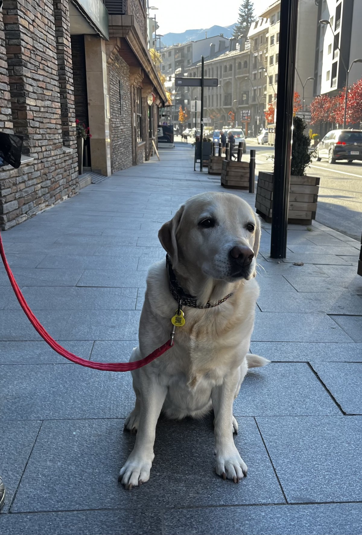 La Massana intensifica els controls a la via pública 