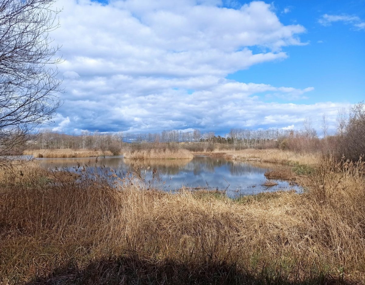 Transició Ecològica destina 3,8 milions a comprar i restaurar finques naturals arreu de Catalunya