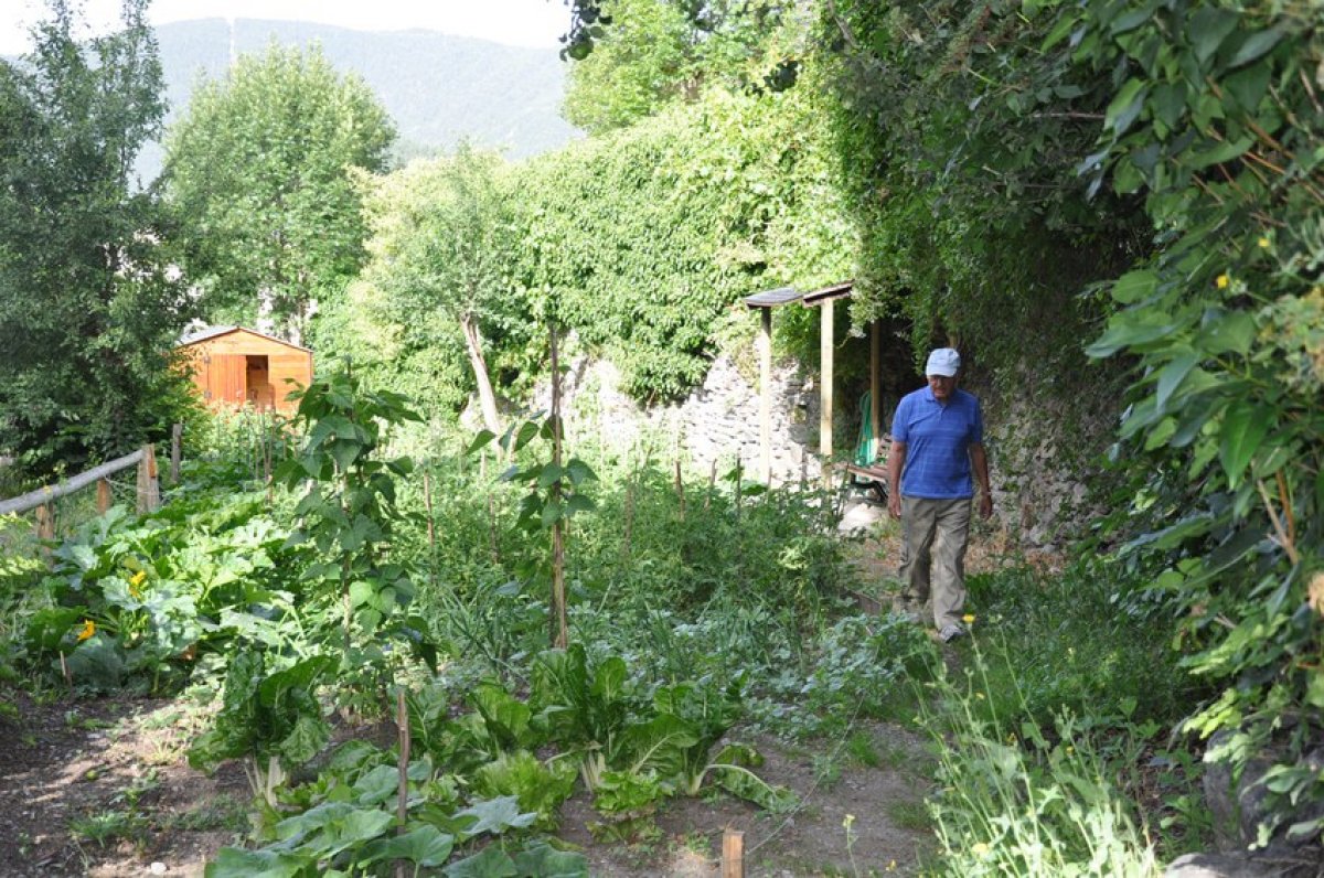 Demana accés a un dels Horts socials de Casa Rossell i Hortes de Segudet