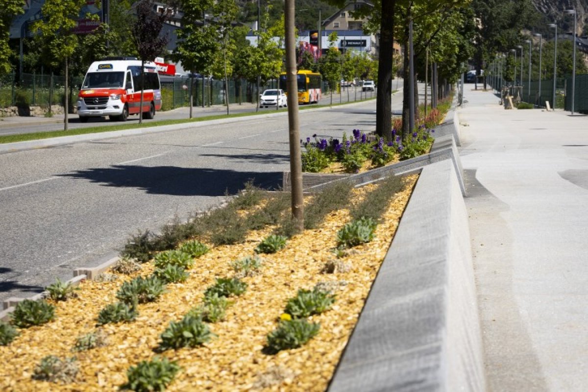 El bus comunal supera els 600.000 passatgers el 2025