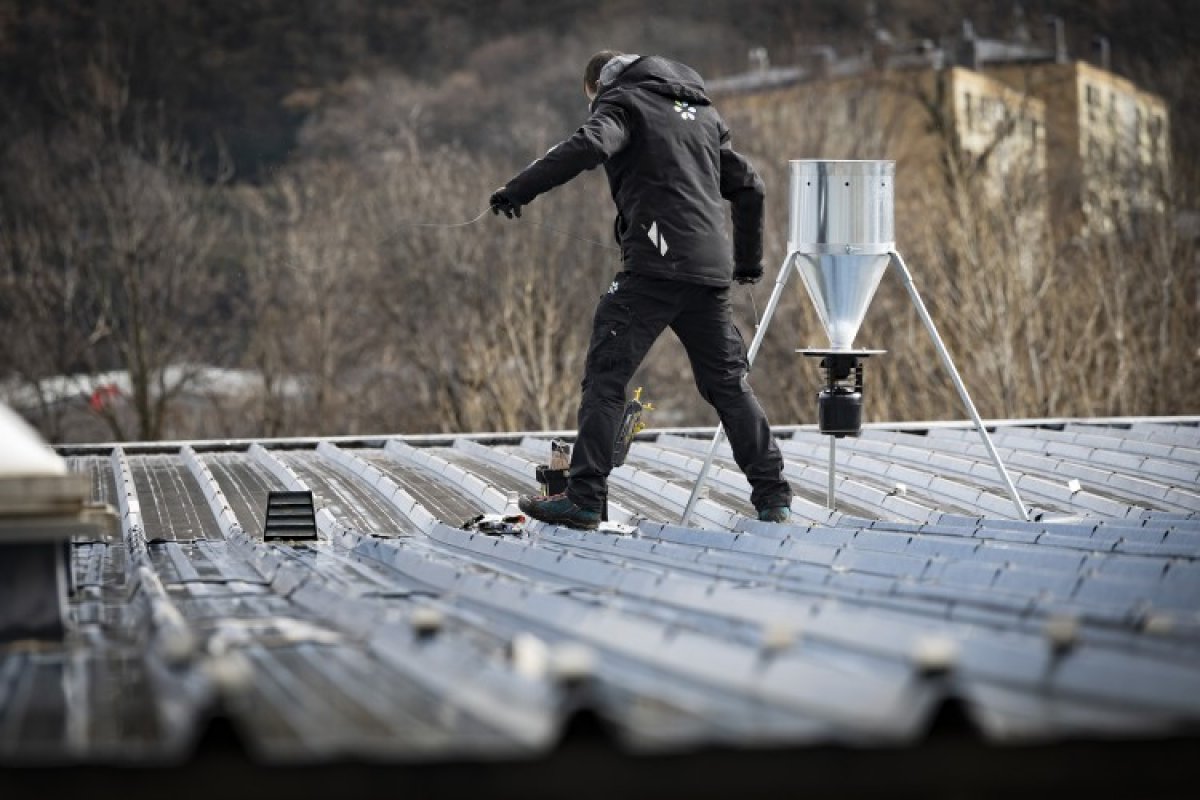 Andorra la Vella i Escaldes-Engordany instal·len sis dispensadors de pinso esterilitzador per a coloms