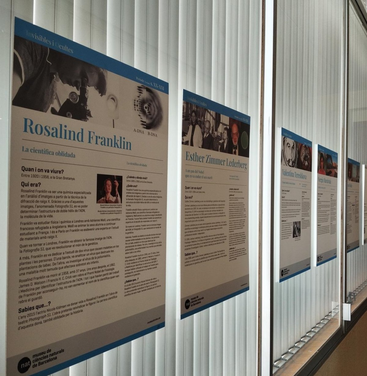 L'Ajuntament de Valls impulsa l'exposició itinerant '(In)visibles i (o)cultes' en el marc del 11F, Dia Internacional de les Dones i les Nenes en la Ciència