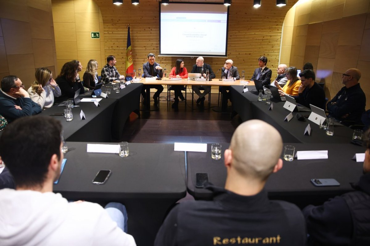 El Consell Econòmic i Social agraeix el contacte permanent i valora positivament les mesures presentades pel Comú i pel Govern per pal·liar els efectes del tancament de la RN20