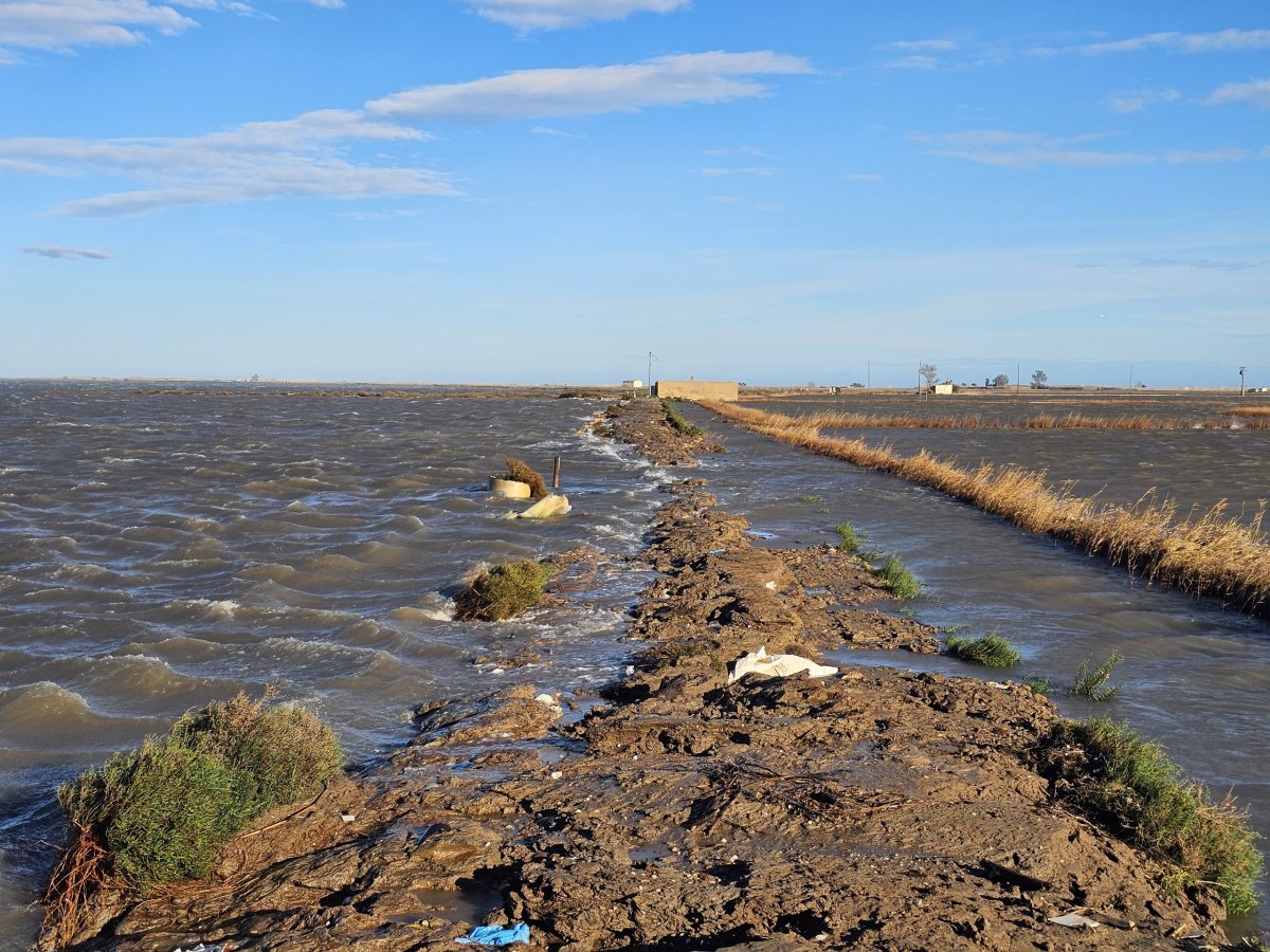 L’alcalde de Deltebre visita els efectes del temporal, que ha fet avançar l’aigua de la mar fins a un quilòmetre terra endins