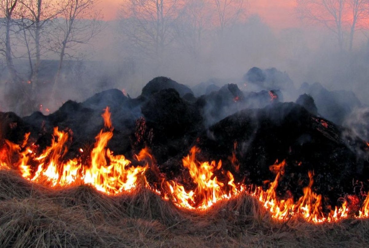 Comença la prohibició de fer foc en terrenys forestals a Catalunya