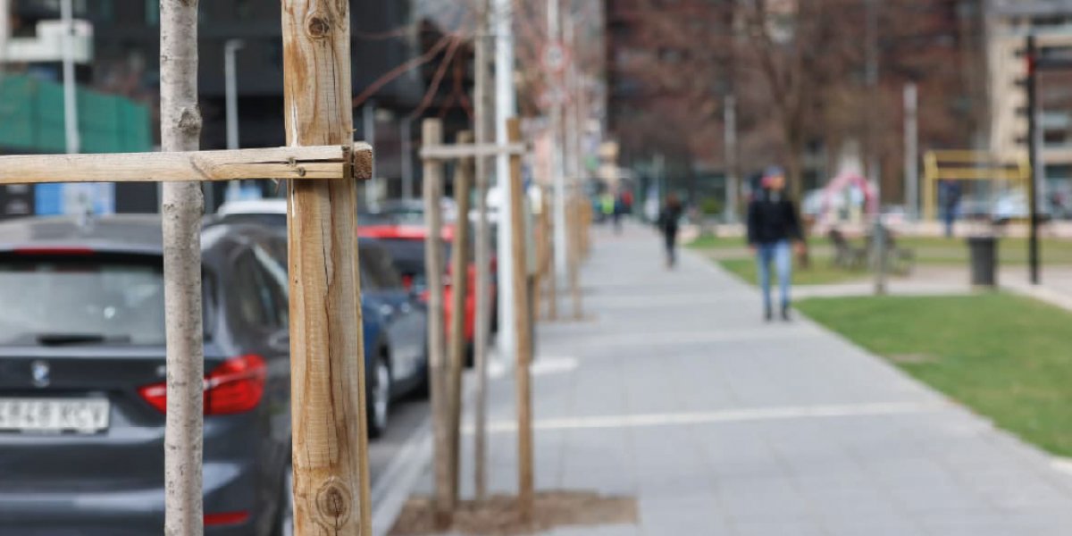 El Comú d’Escaldes-Engordany  reforça l’arbrat viari amb 63 noves plantacions entre 2025 i 2026