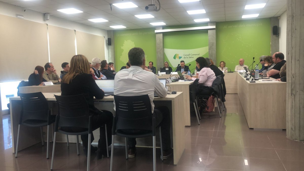 El Ple de la Selva aprova els ajuts escolars escolars i actualitza els preus del servei d'atenció domiciliària