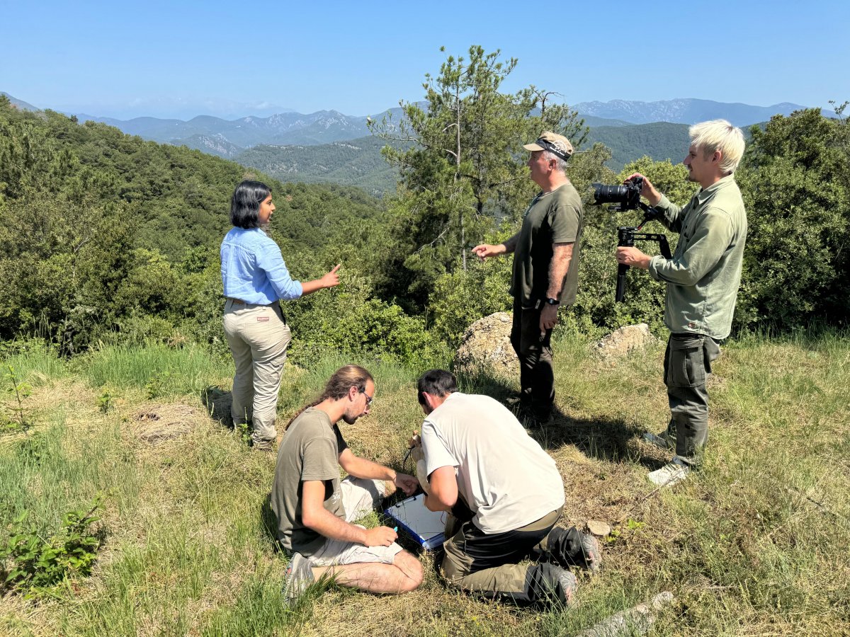 Un vídeo sobre la restauració ecològica de la vall de la Muga ha superat el milió de visualitzacions a YouTube en menys de quatre mesos